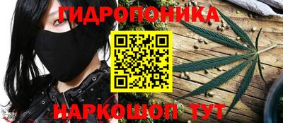 спиды Шебекино