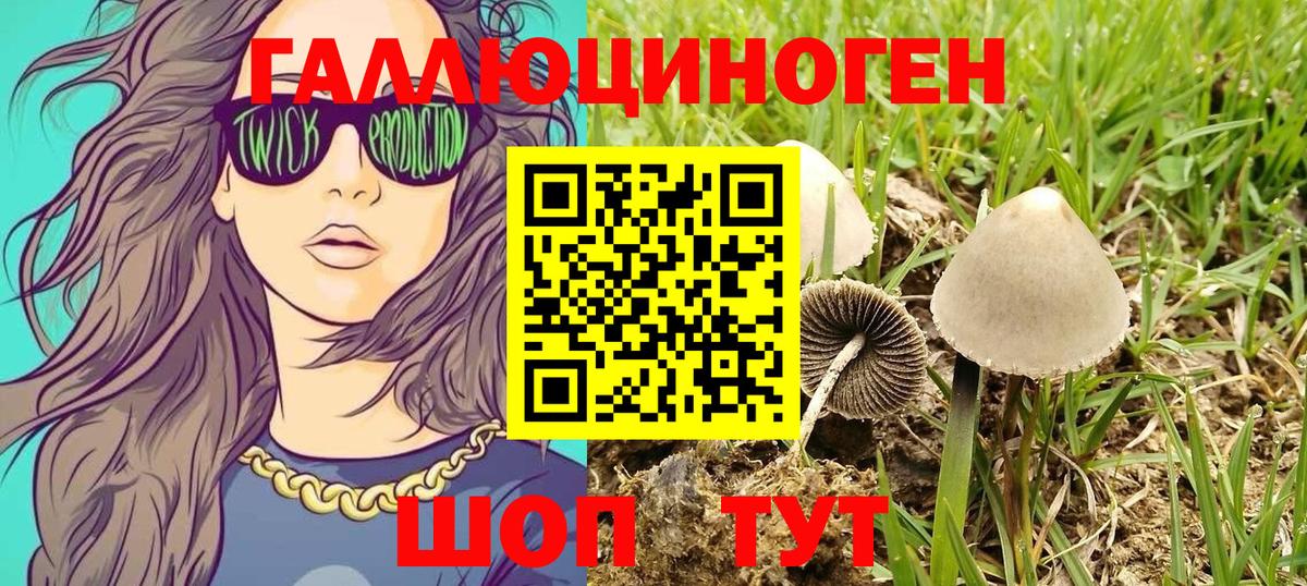 Борисоглебск  Псилоцибиновые грибы мицелий  Вход с VPN 